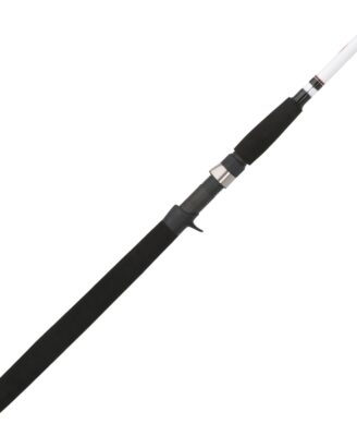 Berkley Big Game Casting Fishing Rod