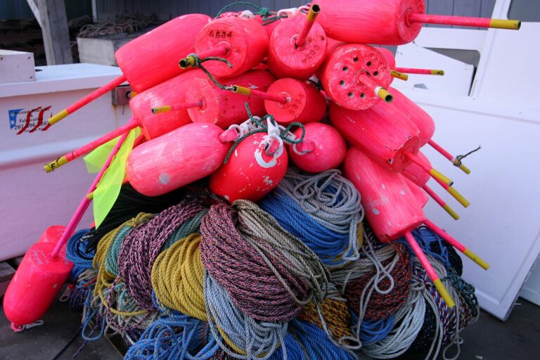 Why Quality Fishing Gear Matters for Every Fisherman Out There