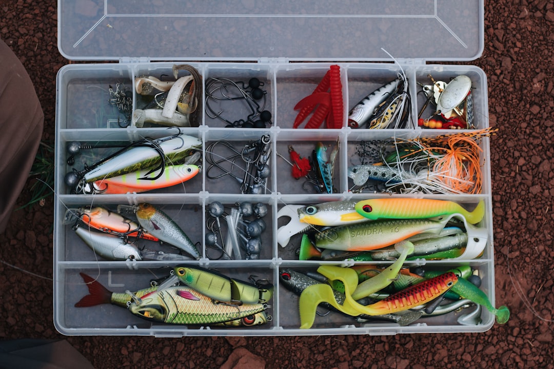 Tips for Selecting the Right Bait for Different Fish Species
